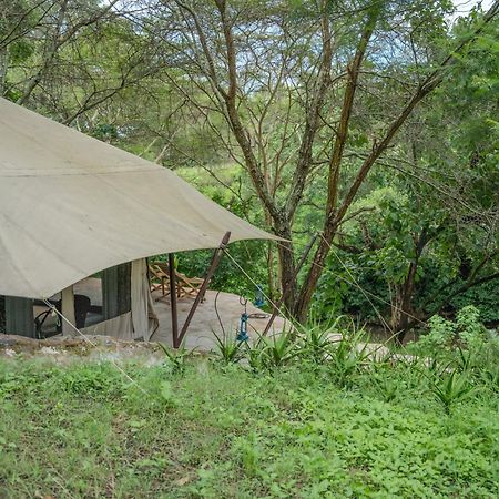 Dolly Farm & River Camp, Luxury Tents Usa River Zewnętrze zdjęcie