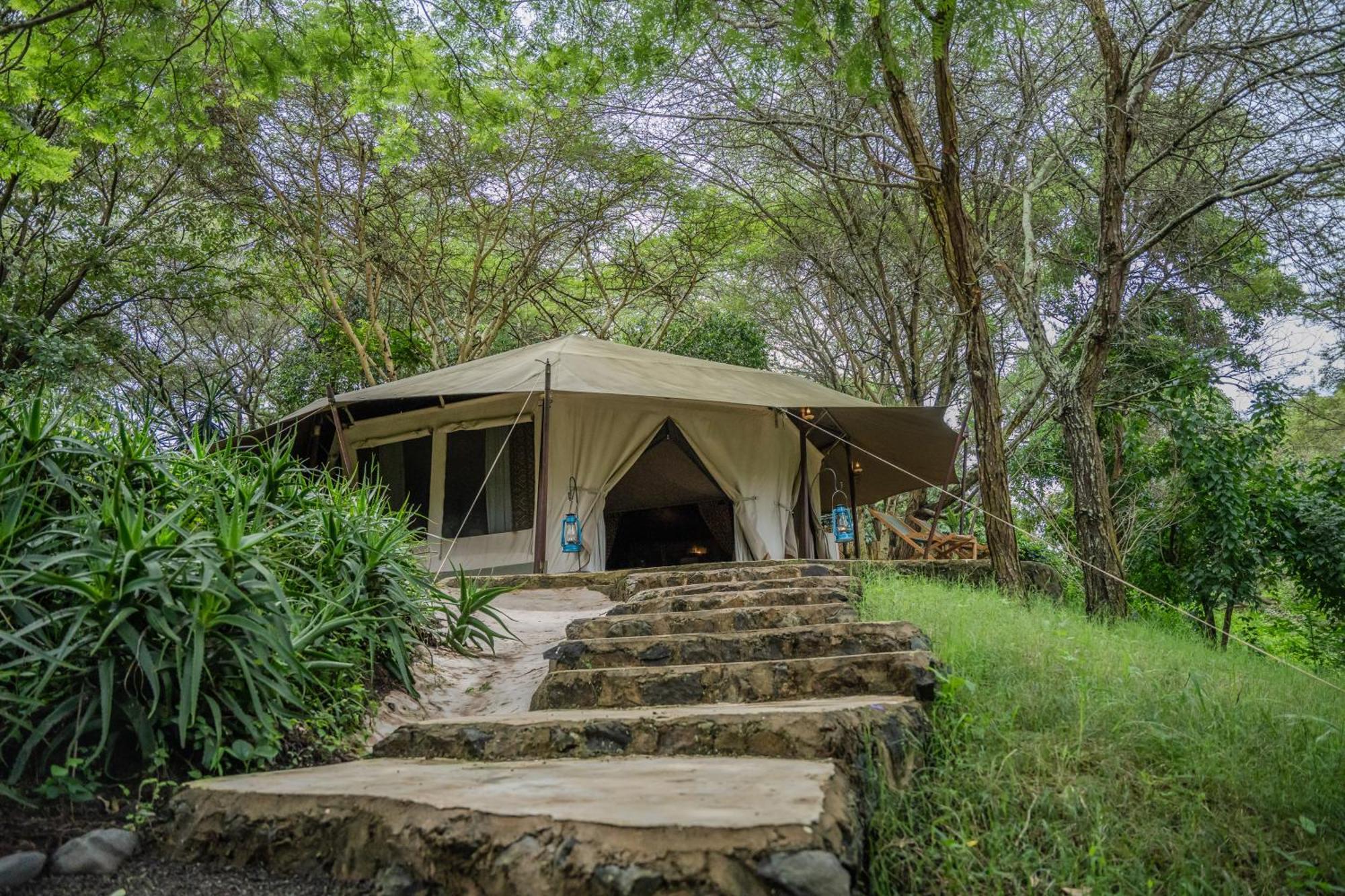 Dolly Farm & River Camp, Luxury Tents Usa River Zewnętrze zdjęcie