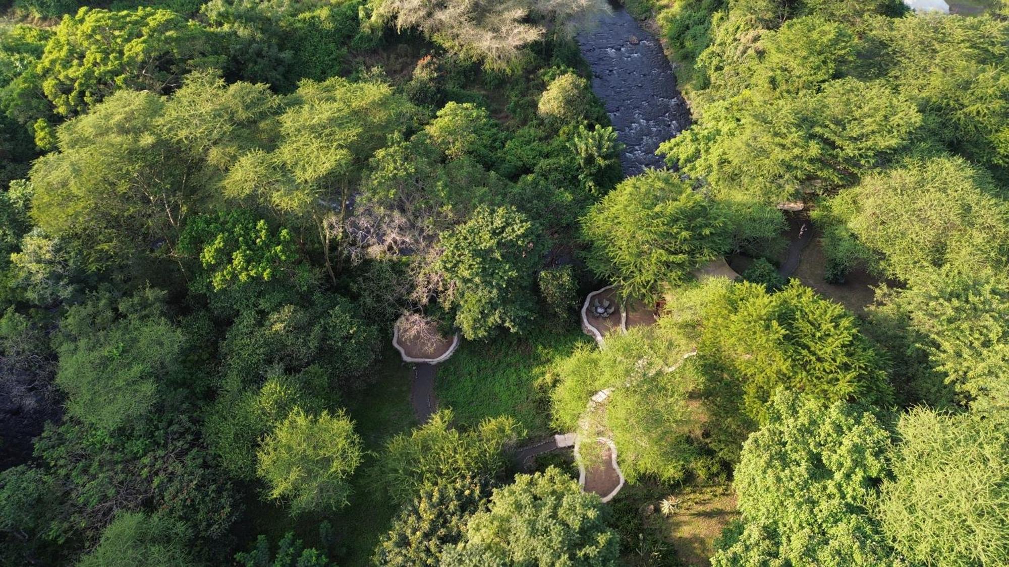 Dolly Farm & River Camp, Luxury Tents Usa River Zewnętrze zdjęcie